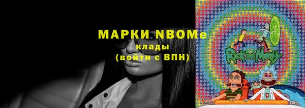 индика Балахна