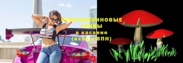 индика Балахна