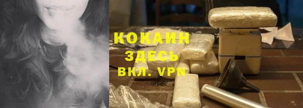 индика Балахна