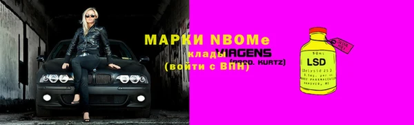 индика Балахна