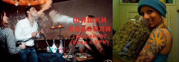 индика Балахна