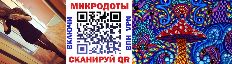 Галлюциногенные грибы Psilocybe  Плавск 